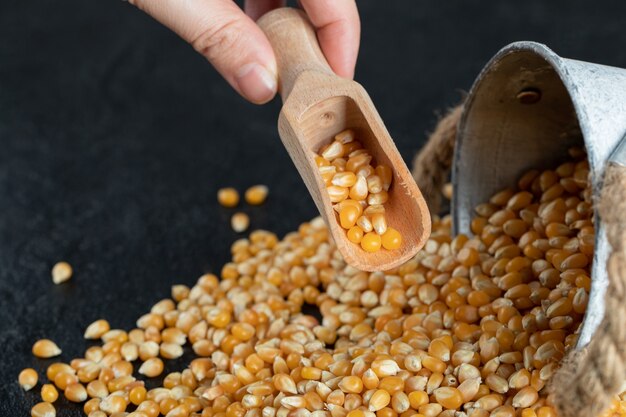 How to Make Corn Nuts Recipe?