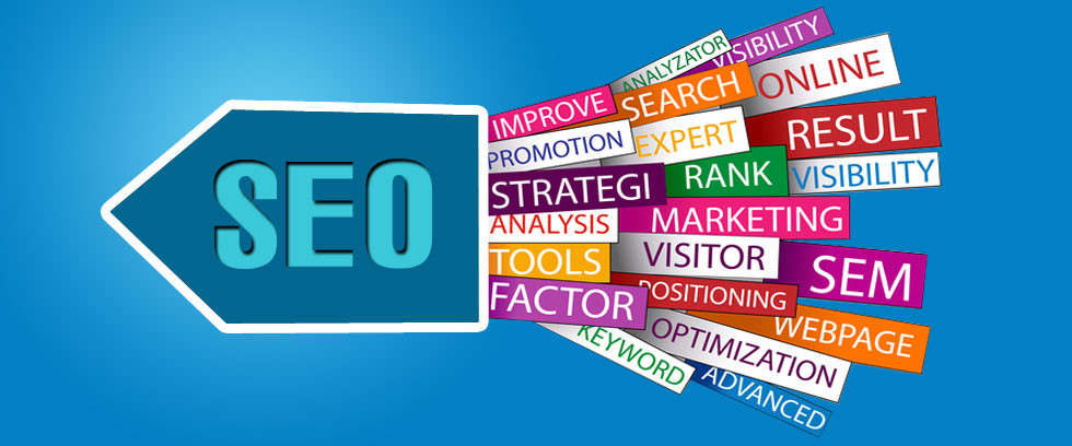 How to Learn SEO Step by Step?